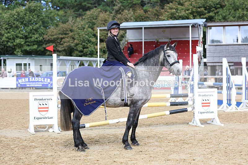 3E7A9049 - Class 8: 80cm Senior