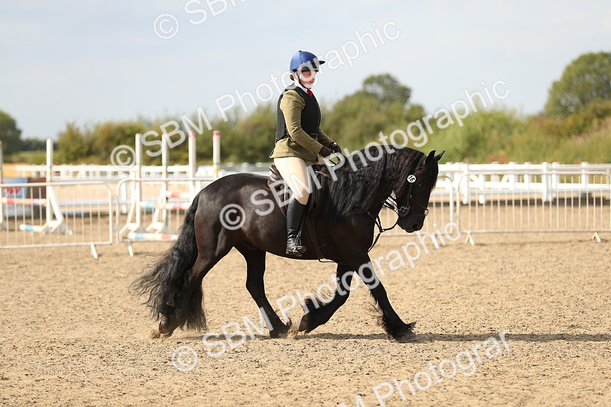 SBM_06855 - Class 49a Style & Performance 80cm (15-19)