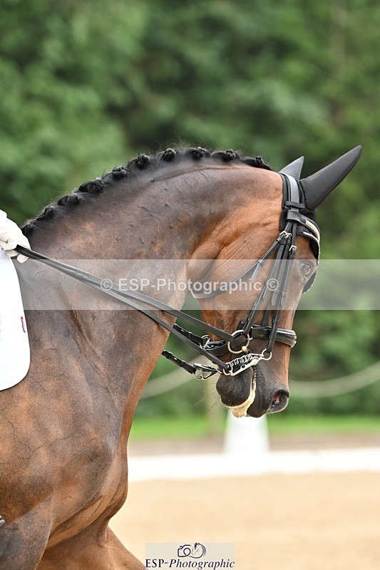 240811-123150-05744 - 237-Debbie.Summerfield-I.Cleo