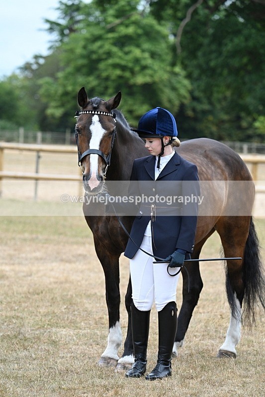 WJ7_0142 - Class 5a Most Handsome Gelding (above 14.2hh)