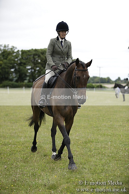 BVR160717-798 - Ring 1 BVRC Show 16/07/17