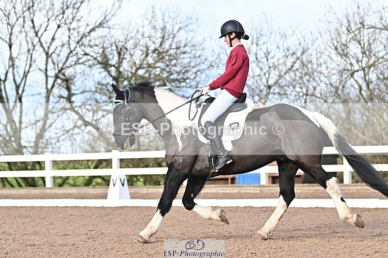 241214-112414-01391 - 130-Alys.Matravers-Tiger.Mazariti