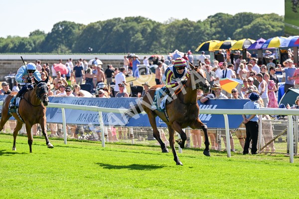 110725-Race 4-Dain Ma Nut In-0335 - Race 4 3.55pm Azets Handicap
