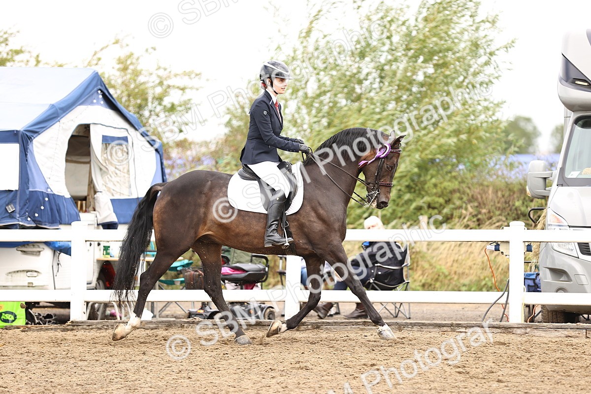 SBM_01466 - Class 54 - Riding Club Horse Pony
