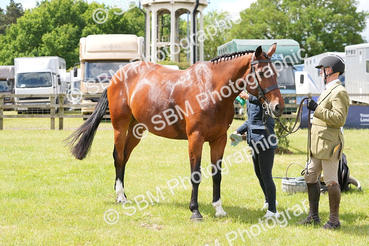 SBM_15037 - Class 100-102 - RIHS Working Hunter