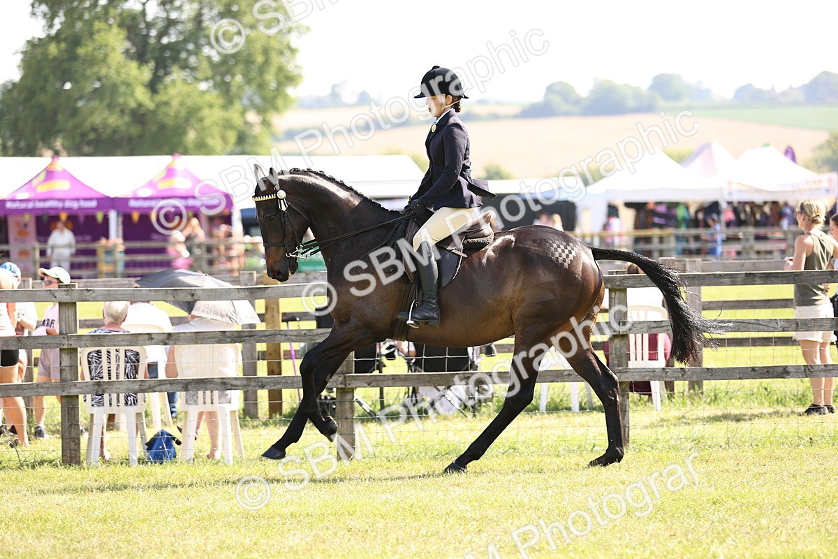 SBM_12905 - Class 75-76 LIHS BSHA Rising Star Hack Riding Horse