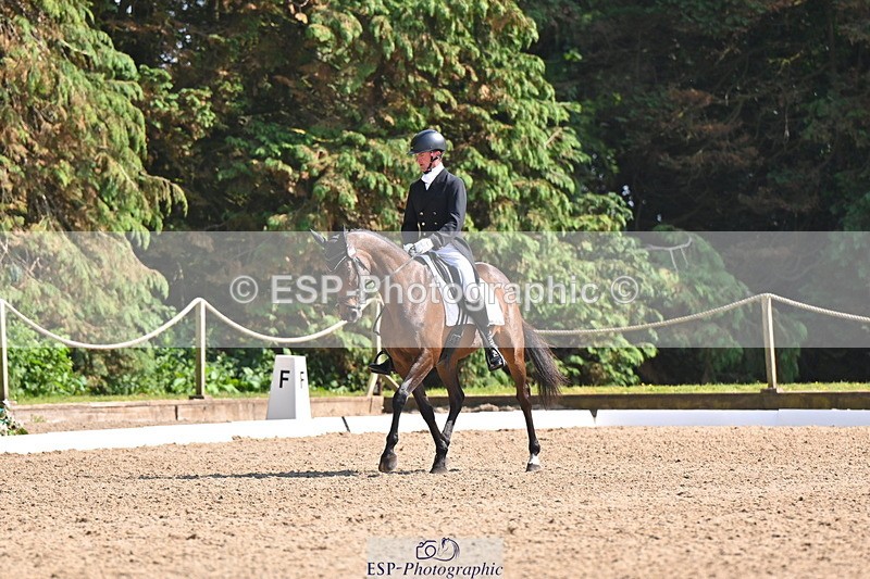 250523A-160208-07949 - B-373-Ben.Lee.Liles-FINCH.FANCY