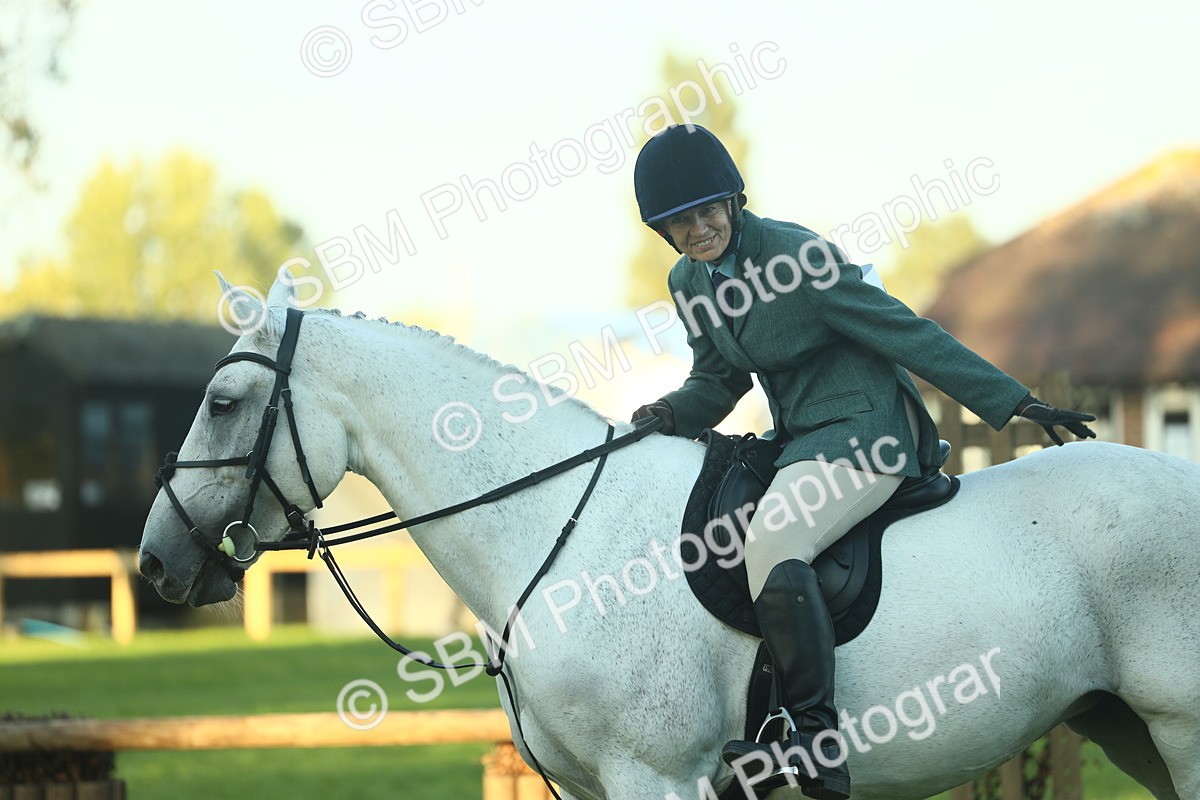 SBM_56423 - S14 - Riding Club Horse