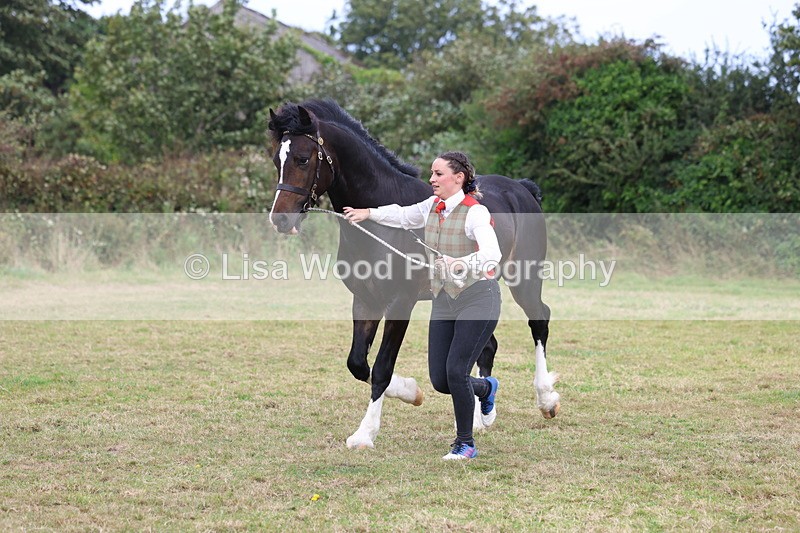 3E7A4231 - Class 15: Two Year Olds