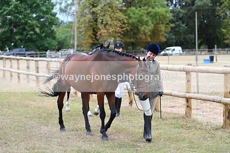 WJ7_9088 - Class 4a Prettiest Mare 14.2hh and over