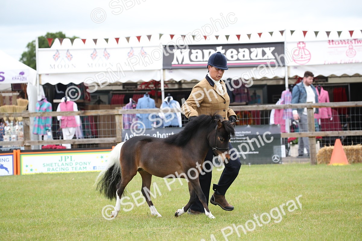 SBM_03728 - Class 23-25 - British Miniature Horse of the Year