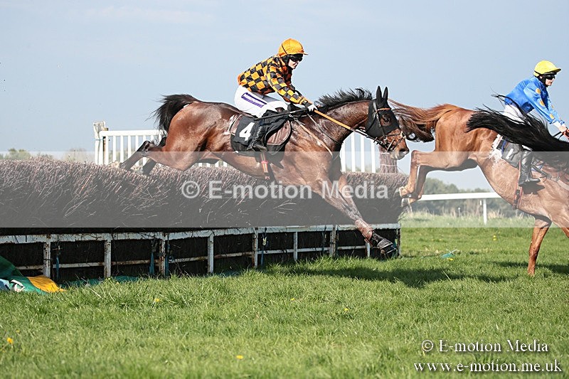 PtP 210418 539 - South & West Wilts Point-to-Point Larkhill 21/04/18