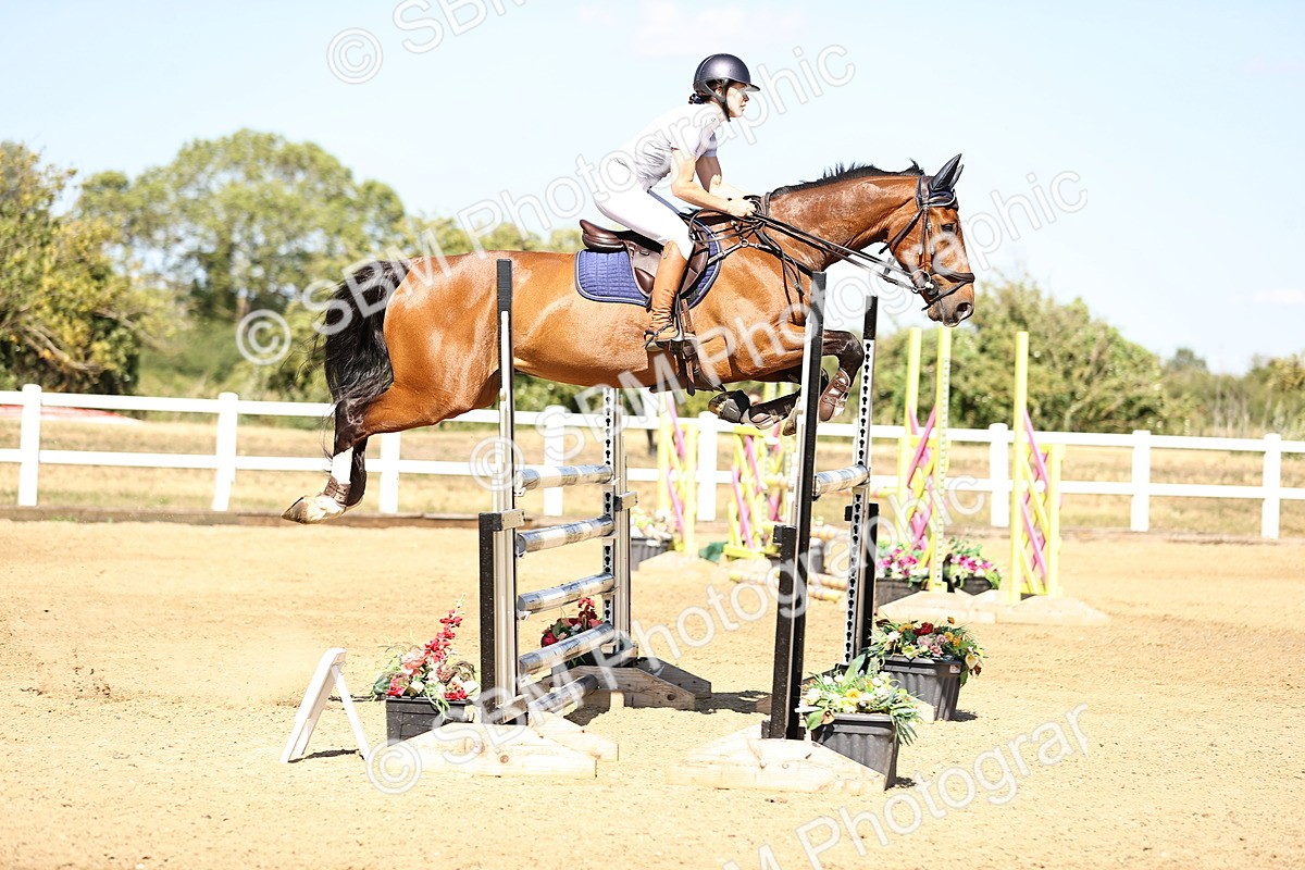 SBM_015515 - Class 16 - Senior foxhunter - 1.20m Open