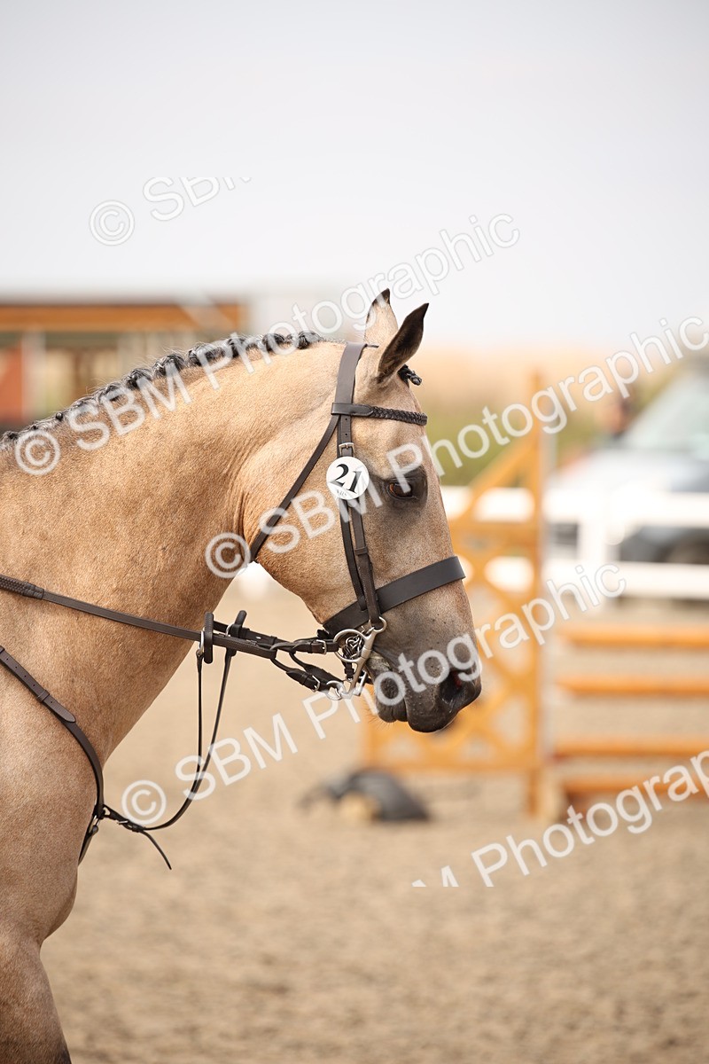 SBM_17143 - Class 409b - Working Veteran 80cm (20+)