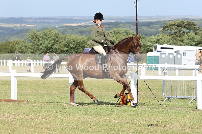 JPP_2897 - Class 20: Working Hunter 70cm