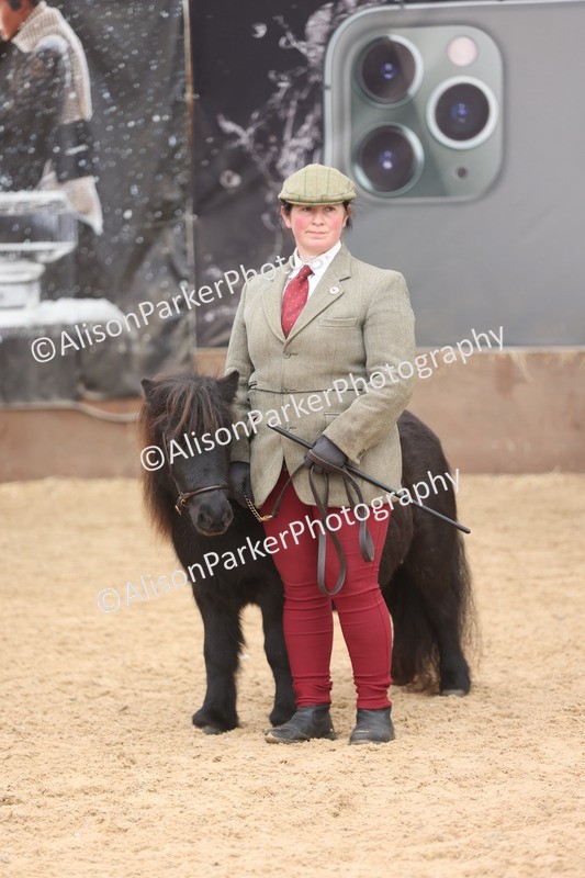 20251109-0341 - Class 13 - Mares 4 Years and Over