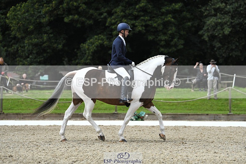 230812-123221-04139 - Cls 6 Novice Silver 12.10 to End