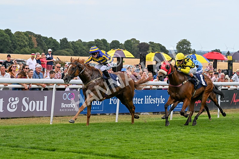 280726-Race 6-Azuinthejungle-1722 - Race 6 16.30pm It's Ladies Day Next On 12 August Handicap