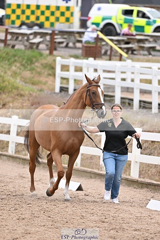 250716-140814-00925 - Trot Up 1.30 to 2.30