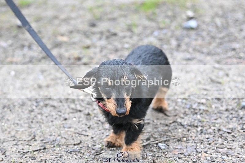 241206-144343-01144 - Naomi