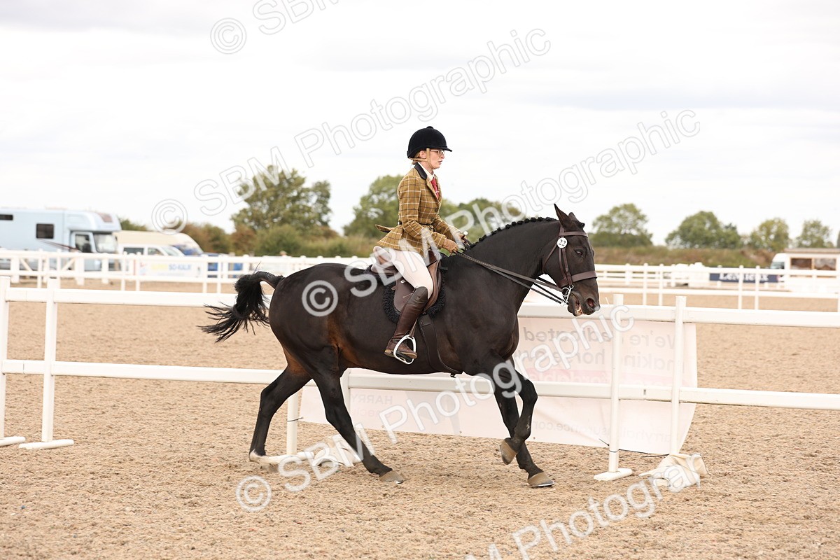 SBM_16483 - Class 212 - Ridden Hunter - Small