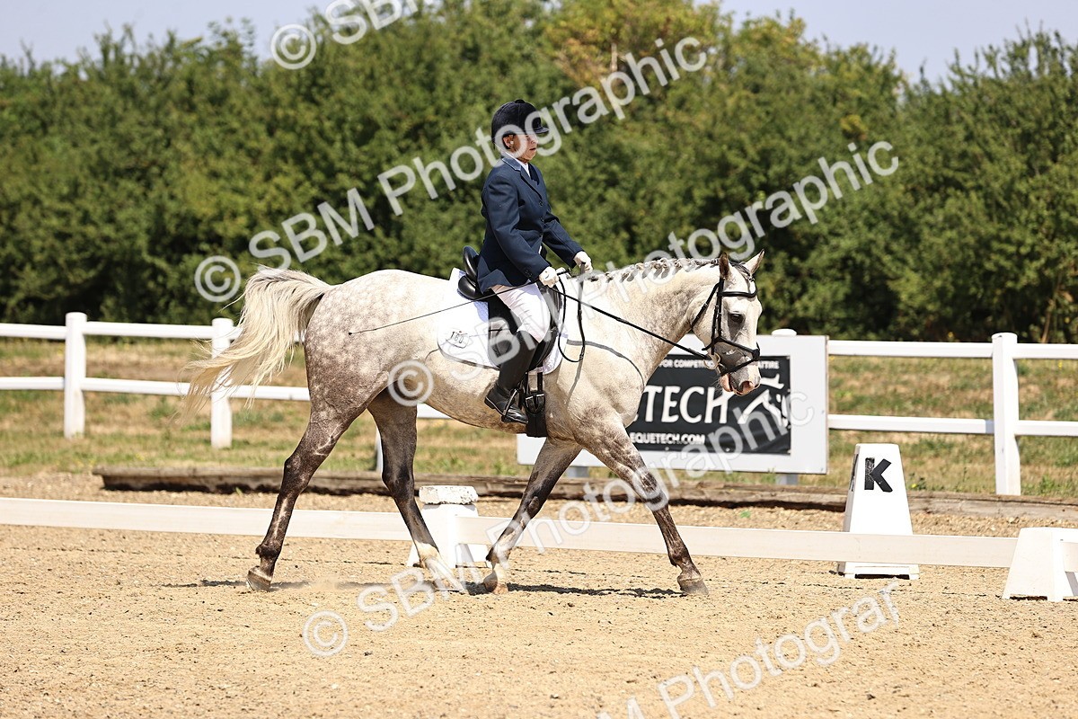 SBM_003940 - Intro 2