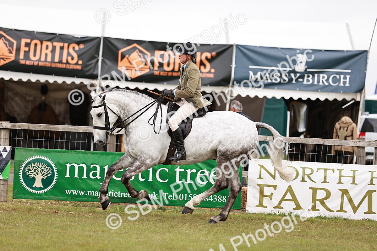 SBM_10781 - Class 81-84 - RIHS Ridden hunters Inc Ladies Hunter