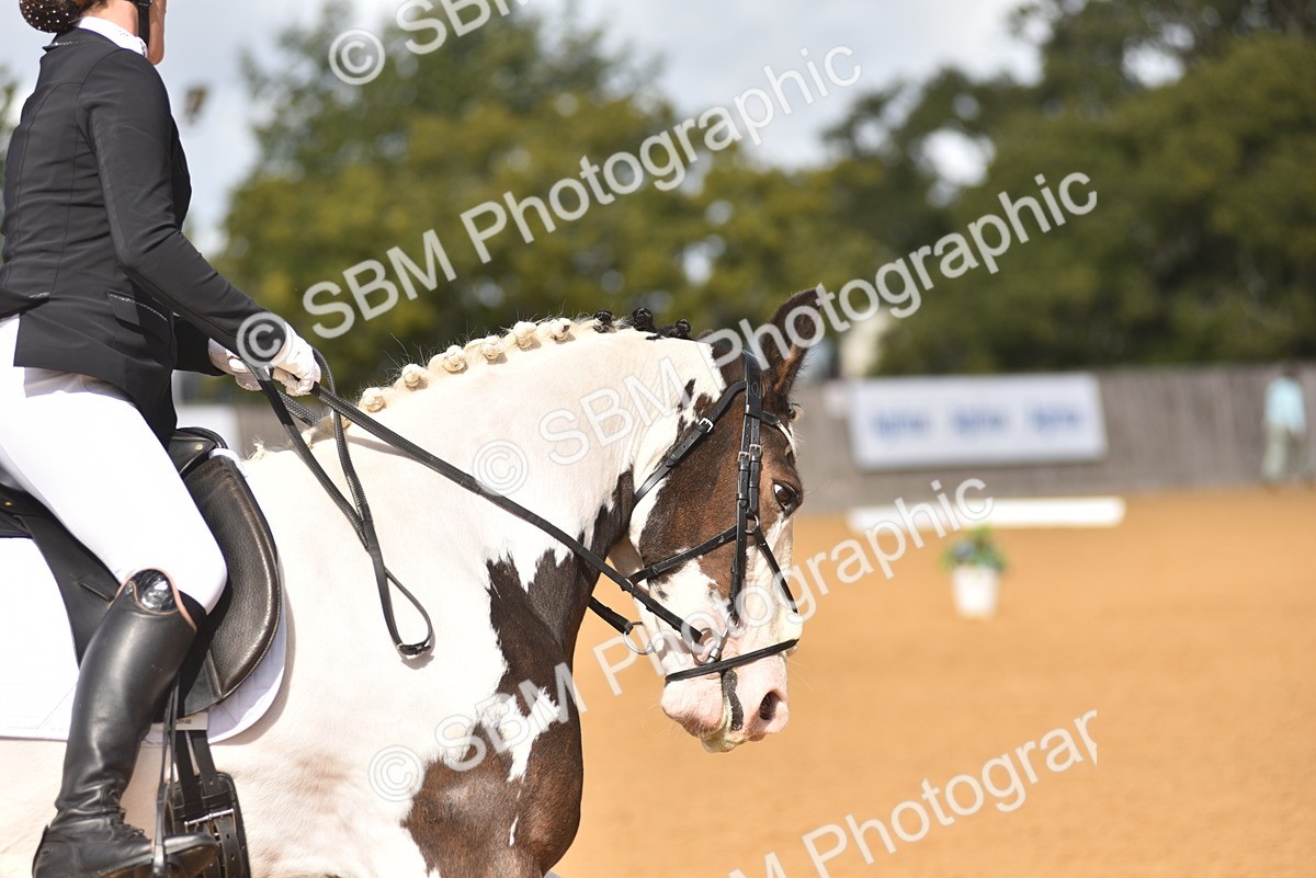 SBM_05587 - D15 - Small Tour Championship Novice 1