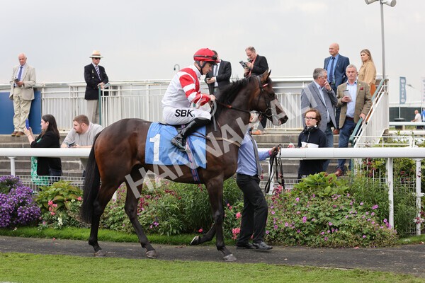 yr09102021r1-14 - Race 1 1.30pm Watch Racing Free Online At Coral Nursery Handicap