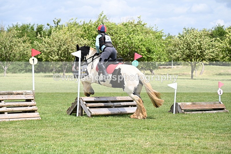 WJ6_3465 - Class 4 60cm