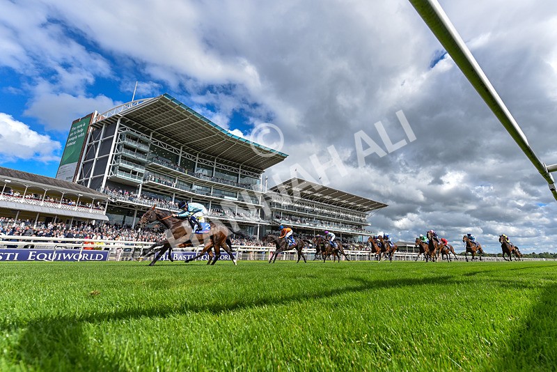 120626-Race 5-Antipodes-0083 - Race 5 16.10pm Sky Bet The World's Gone Football Handicap