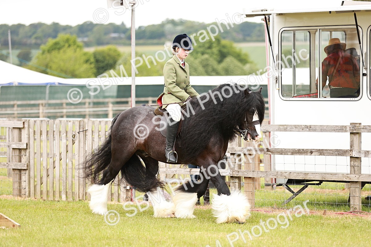 SBM_06108 - Class 39-41 TGCA In Hand and Ridden