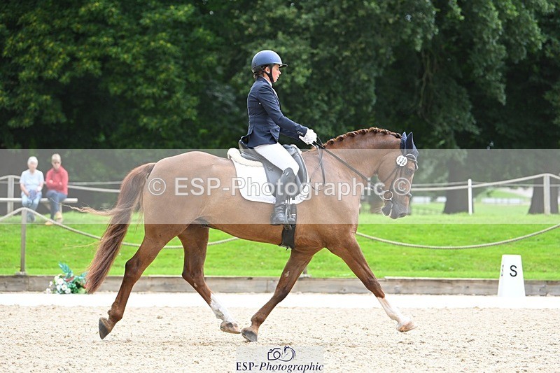 230813-114933-06719 - Cls 12 Elem Silver 10.35 to End