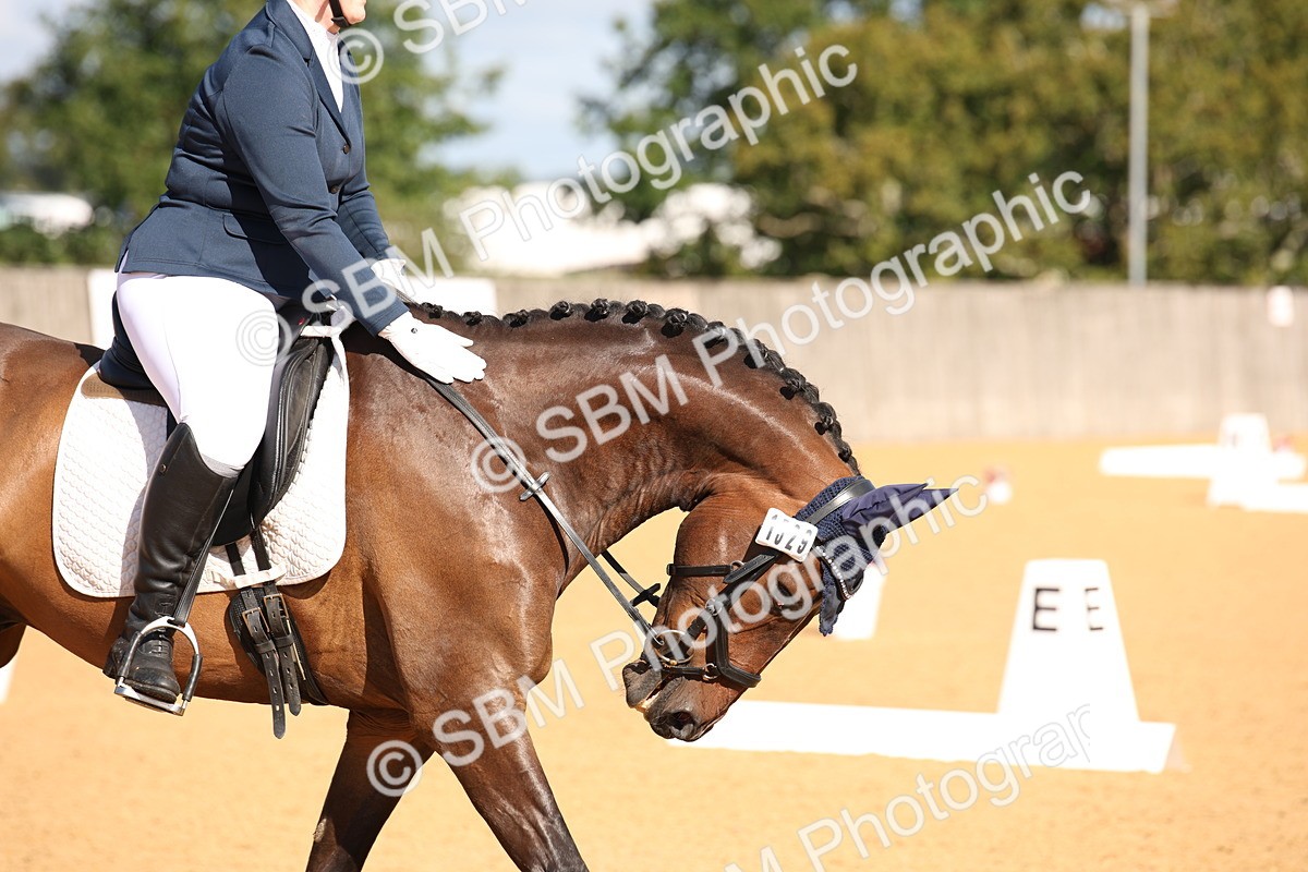 SBM_04180 - D2 Small Tour Championship Intro C