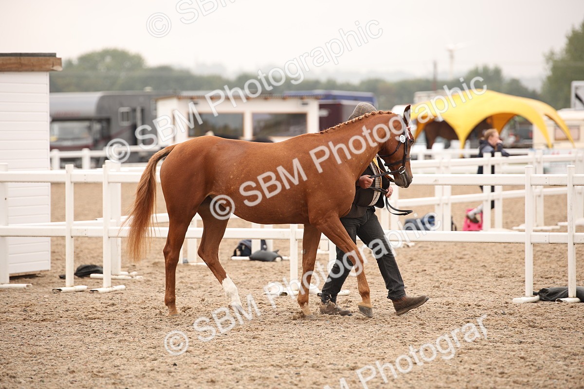 SBM_22114 - Class 707 - Ridden Groom-Helpers Class
