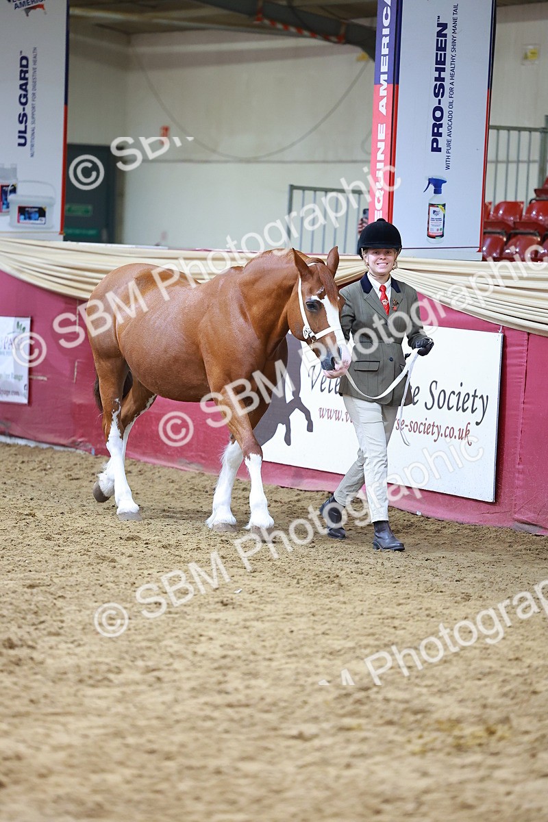 SBM_18551 - Class 903 - Sup Final - IH Pre Vet