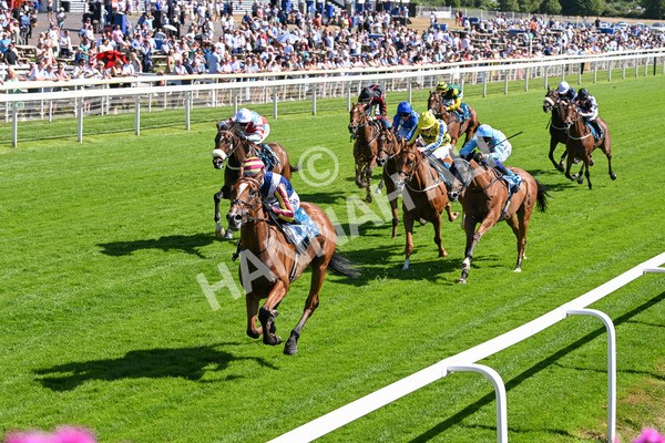 110725-Race 4-Dain Ma Nut In-4288 - Race 4 3.55pm Azets Handicap