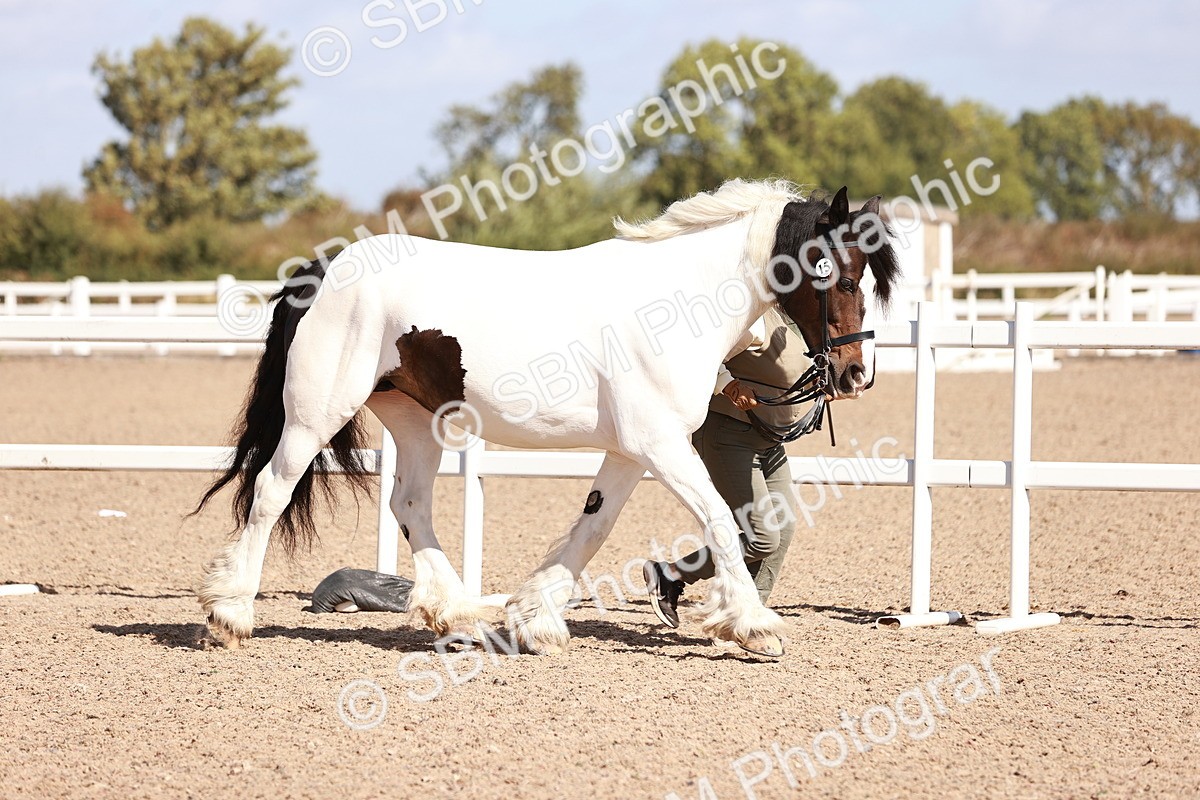 SBM_22953 - Class 707 - IH groom Helpers Class
