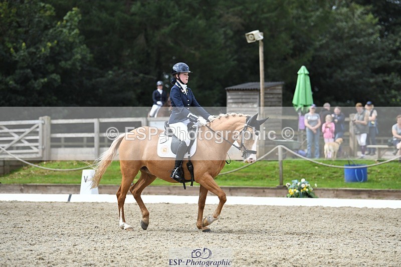 230812-123828-04159 - Cls 6 Novice Silver 12.10 to End