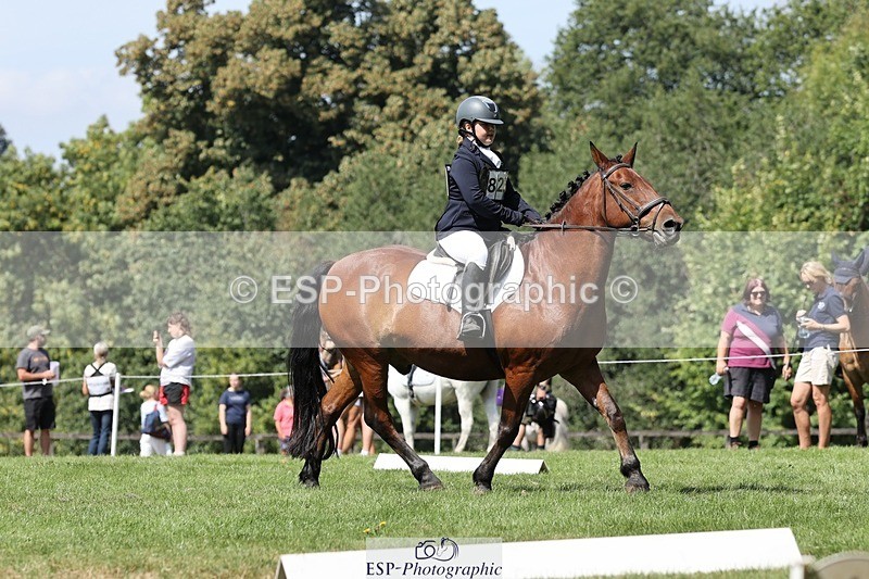 250823A-124351-29578 - Arena D