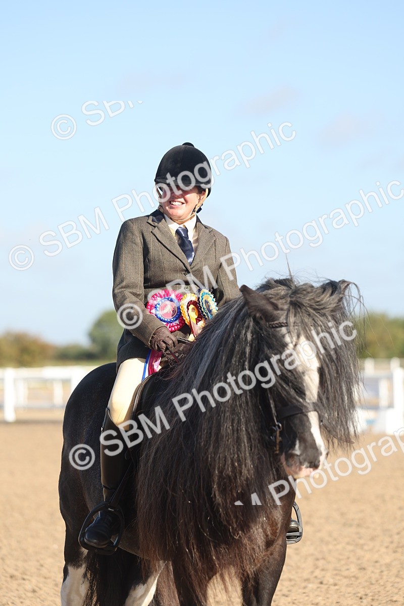 SBM_22256 - Class 802 - Ridden Groom Helpers Class