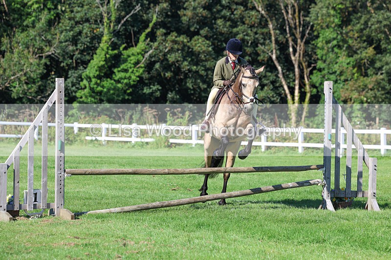 3E7A7729 - Class 2: Open Working Hunter pony