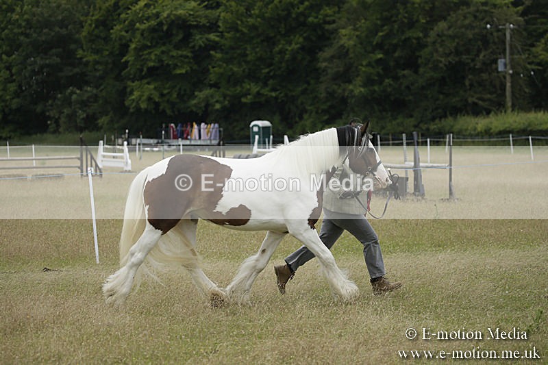 B230619-0830 - Bourne Valley Riding Club Summer Show 23/06/19