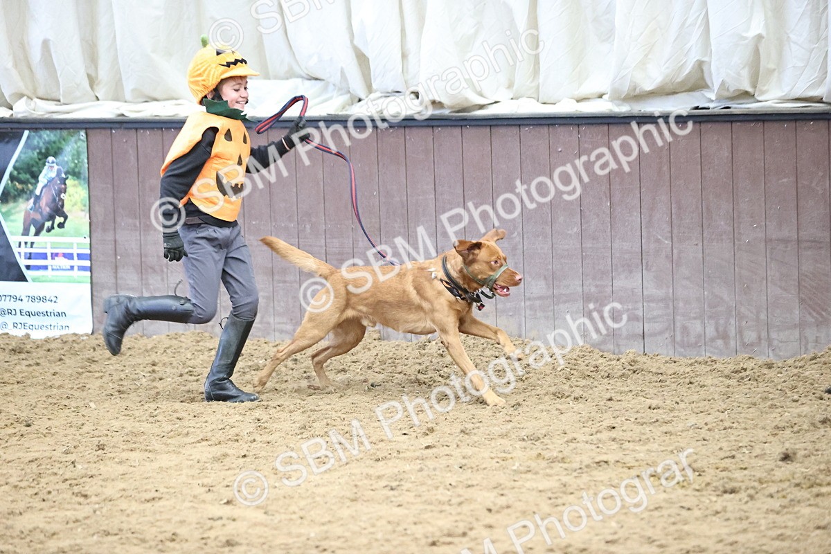 SBM_001375 - Class 3 - Horse & Hound 60cm