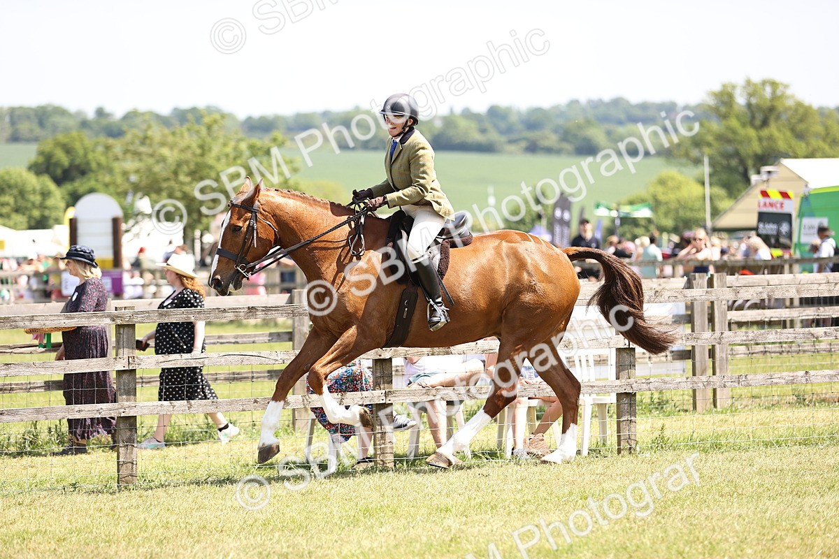SBM_15119 - Class 79-80 - LIHS BSHA Rising Star Ridden Hunter
