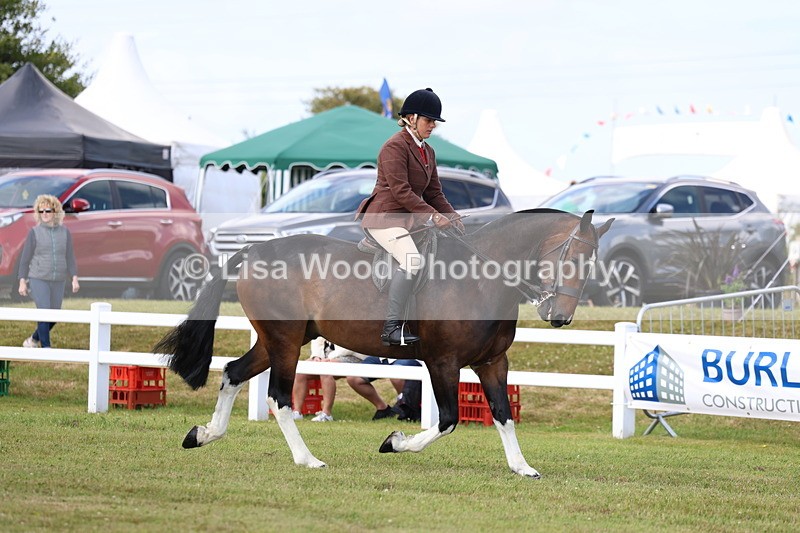 3E7A9659 - Class 5: Rising Star Lightweight/Heavyweight Cobs