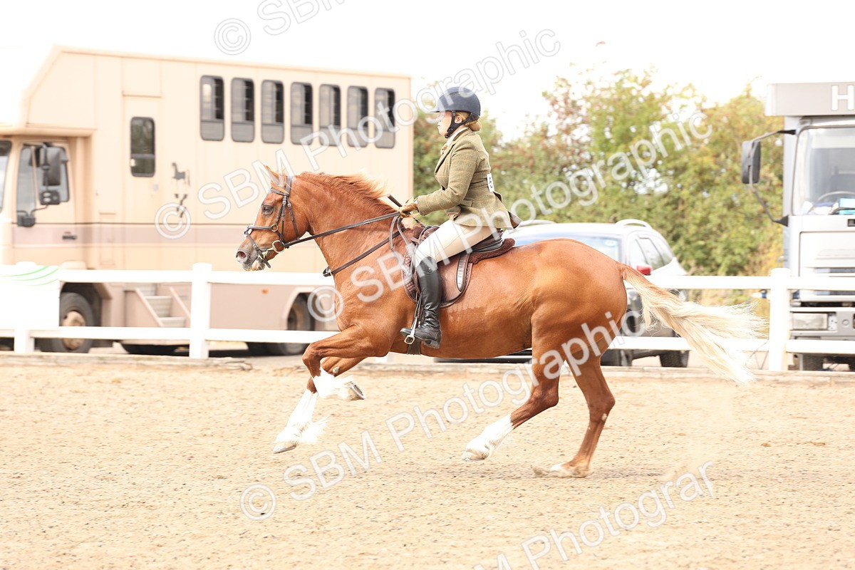 SBM_06798 - Class 58a -  Style & Performance - 70cm (15-19)