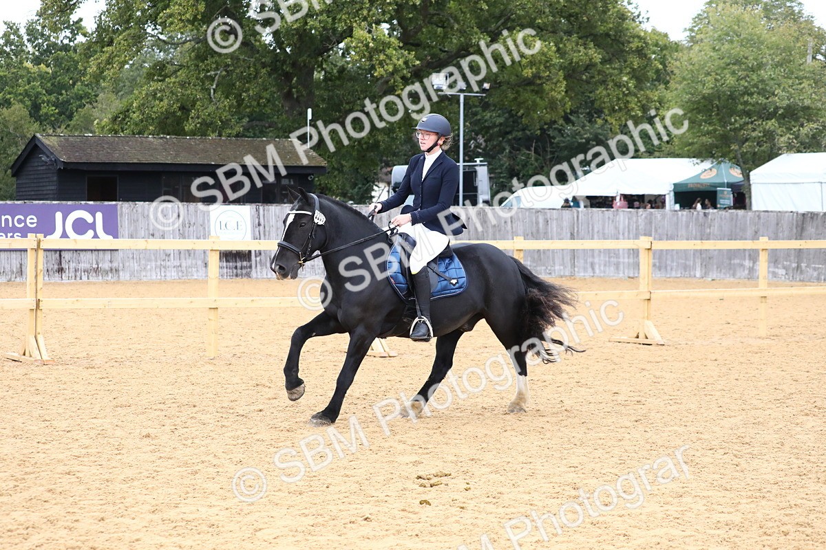 SBM_62324 - J64 - Junior Pony 60cm Championship