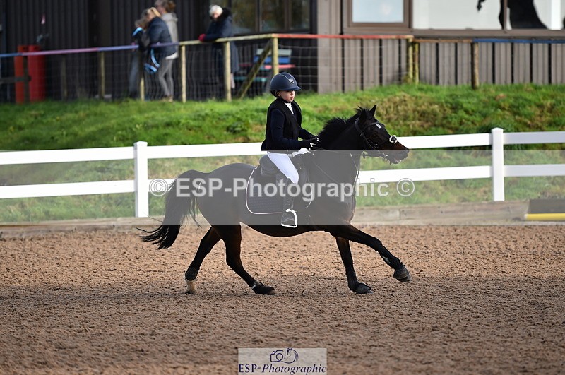 231028A-101500-00352 - Cls 1 Pony 70cm