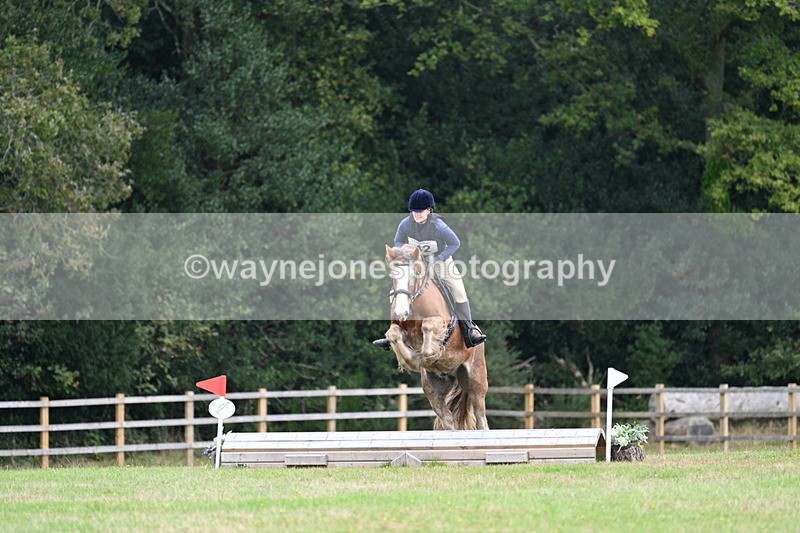 WJ7_7722 - 40cm Time 10:49 to 11:18
